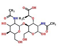 2-ACETAMIDO-4-O-(2-ACETAMIDO-2-DEOXY-SS-D-GLUCOPYRANOSYL)-2-DEOXY-D-MURAMIC ACID